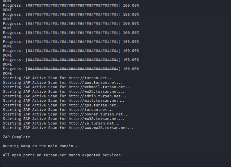 ZAP scans all subdomains and Nmap completes port scanning