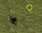 Player and cursor